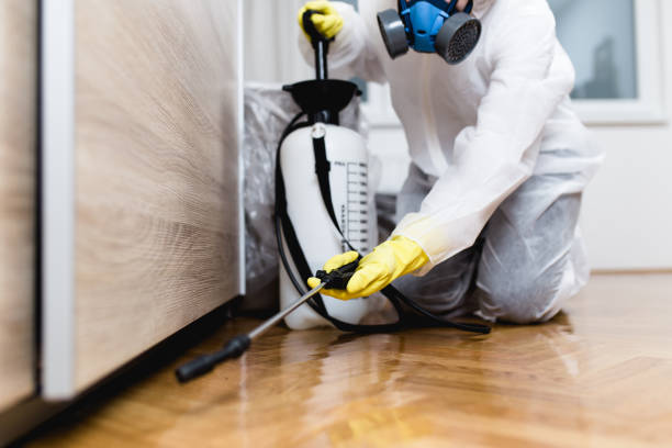 Reliable Jordan, NY Pest Control Solutions