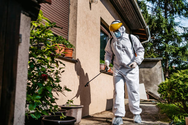 Reliable Jordan, NY Pest Control Solutions
