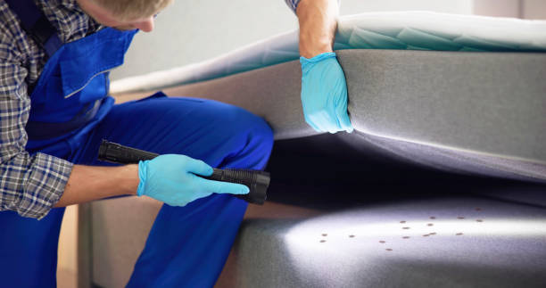 Best Pest Removal Services  in Jordan, NY