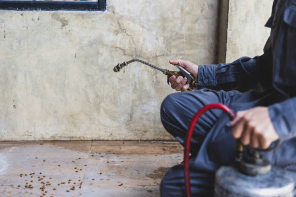 Best Pest Prevention Services  in Jordan, NY